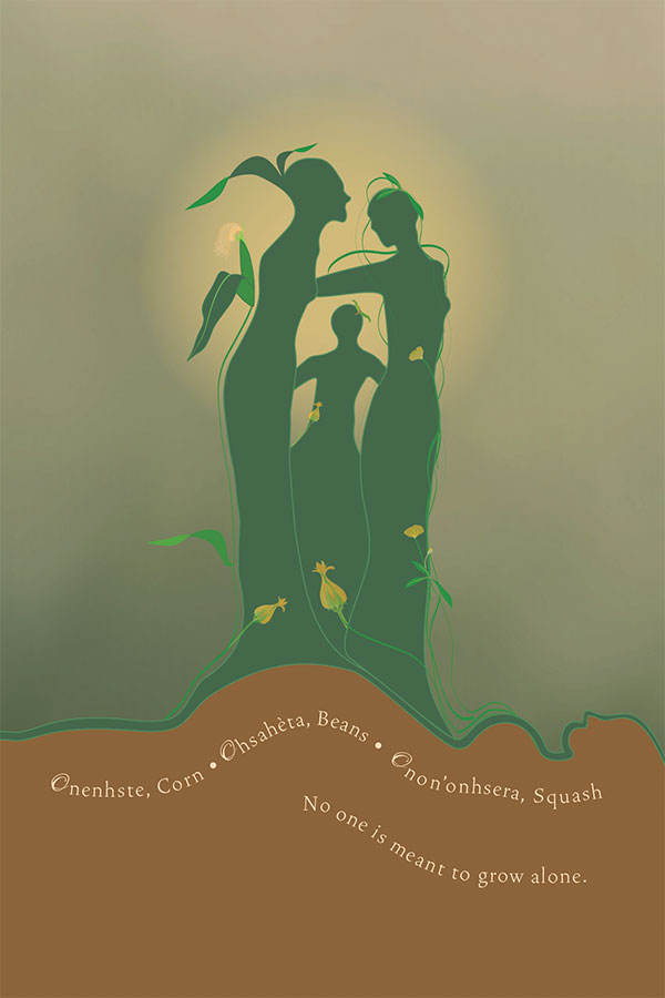 little book womens medicine, indigenous books, pass the feather