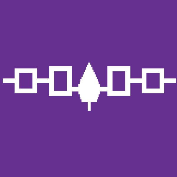 Hiawatha, Hiawatha, Six Nations, Haudenosaunee, Ha:yëwënta' Flag, pass the feather, transfer sticker