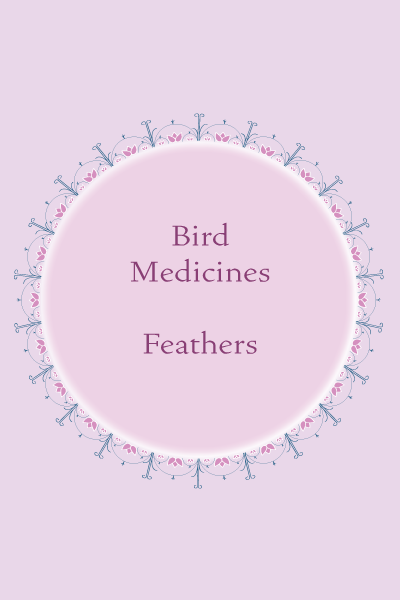 Bird medicines, feathers, haudenosaunee, indigenous, First Nation, pass the feather