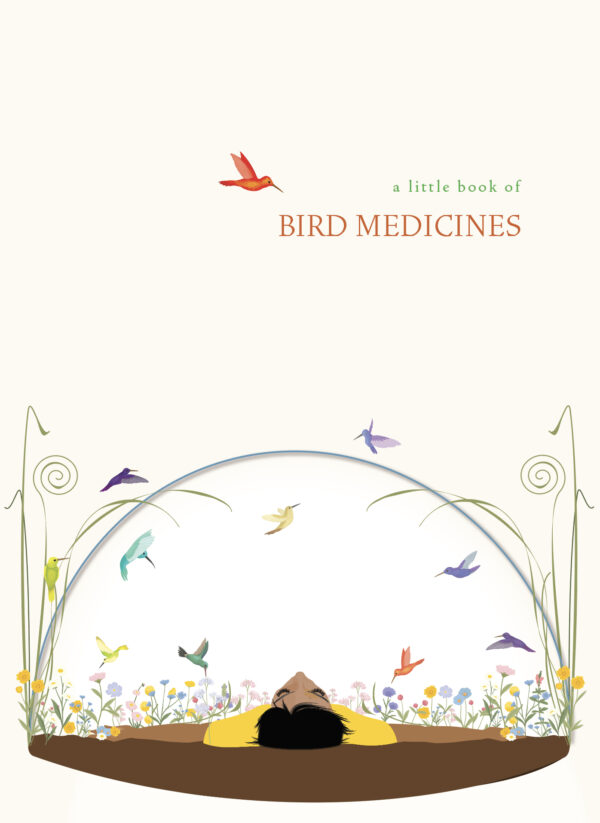little book of bird medicines, birds, pass the feather