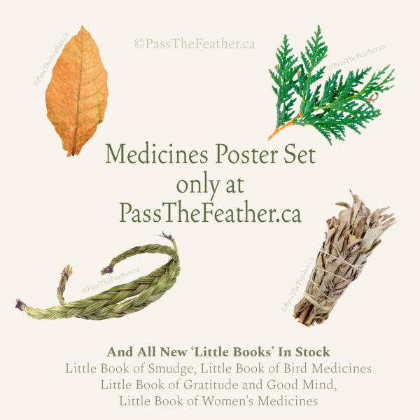 4 sacred medicines, sage, sweetgrass, tobacco, cedar, Native American medicine, pass the feather
