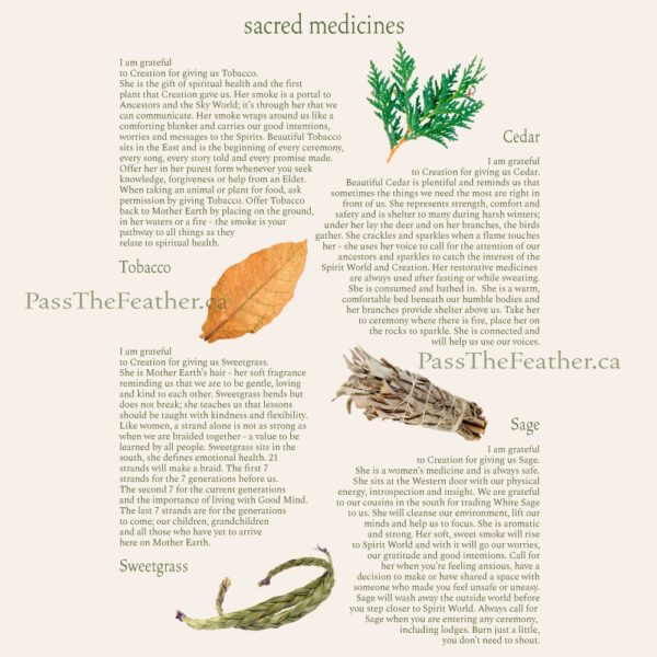 4 sacred medicines, sage, sweetgrass, tobacco, cedar, Native American medicine, pass the feather