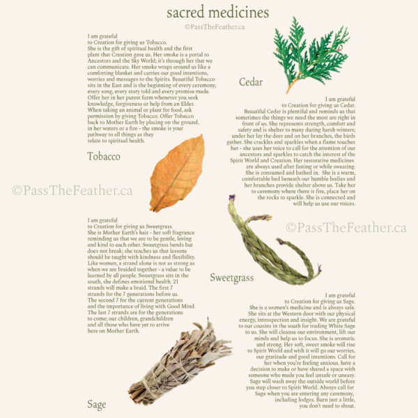 4 sacred medicines, sage, sweetgrass, tobacco, cedar, Native American medicine, pass the feather