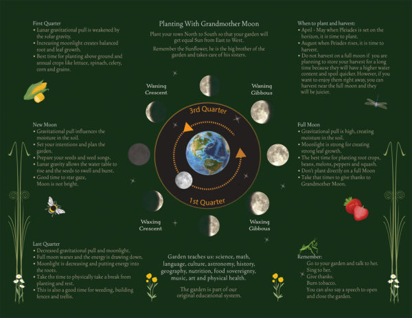 Sky World, Samantha Doxtator, Haudenosaunee Astronomy, Good Mind, 2026 Calendar, passthefeather