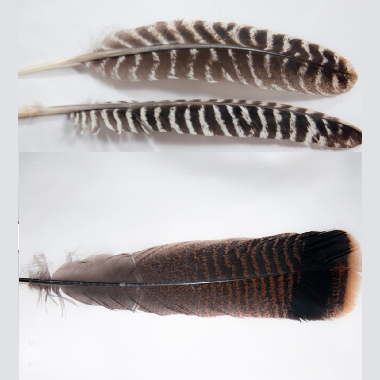 a little smudge kit - Image 2
