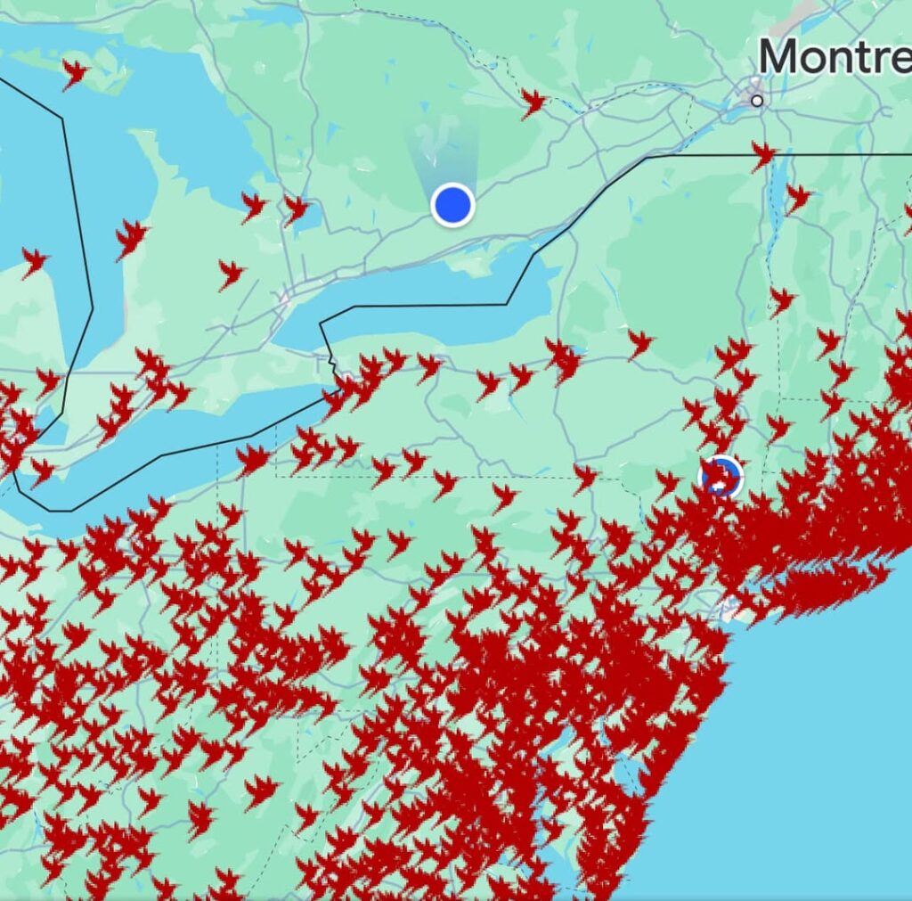 hummingbird tracker, pass the feather