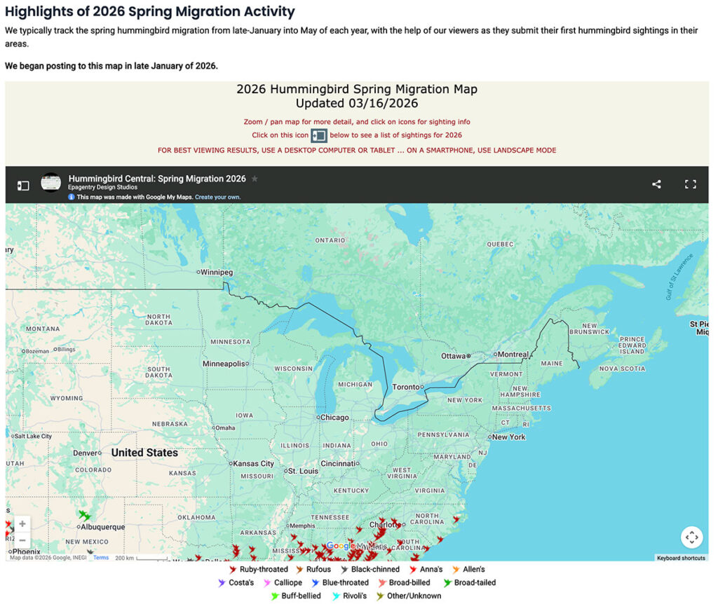 hummingbird tracker, pass the feather